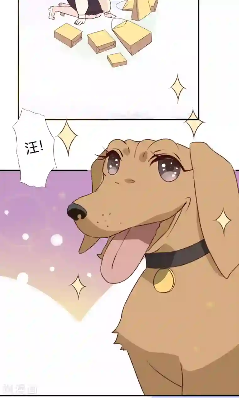 蓝颜祸水第1话 古城初遇