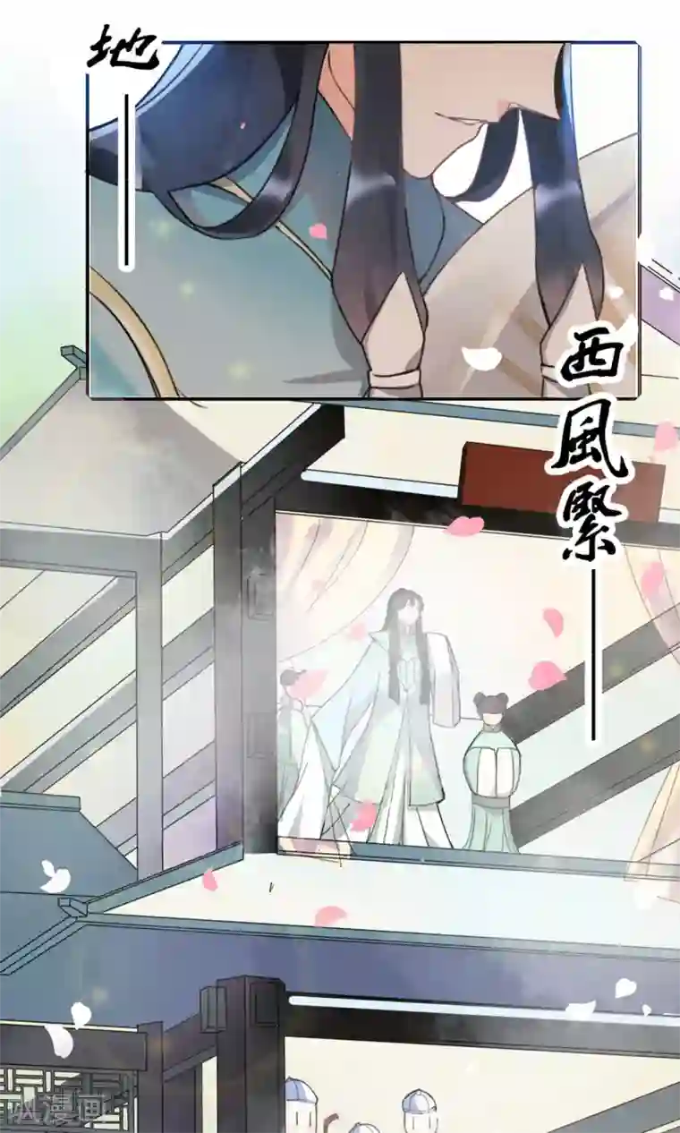 蓝颜祸水第1话 古城初遇