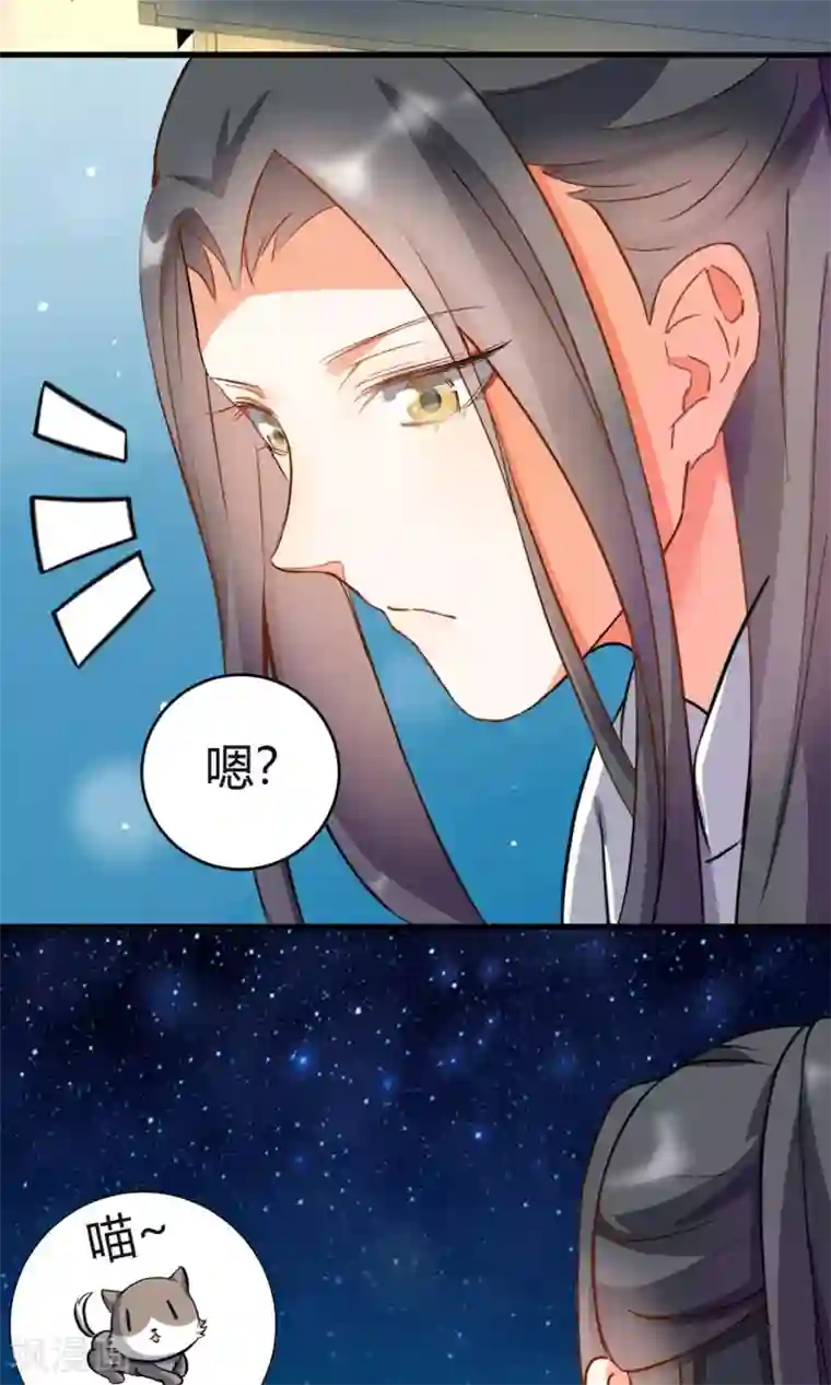 蓝颜祸水第3话 失踪的猫