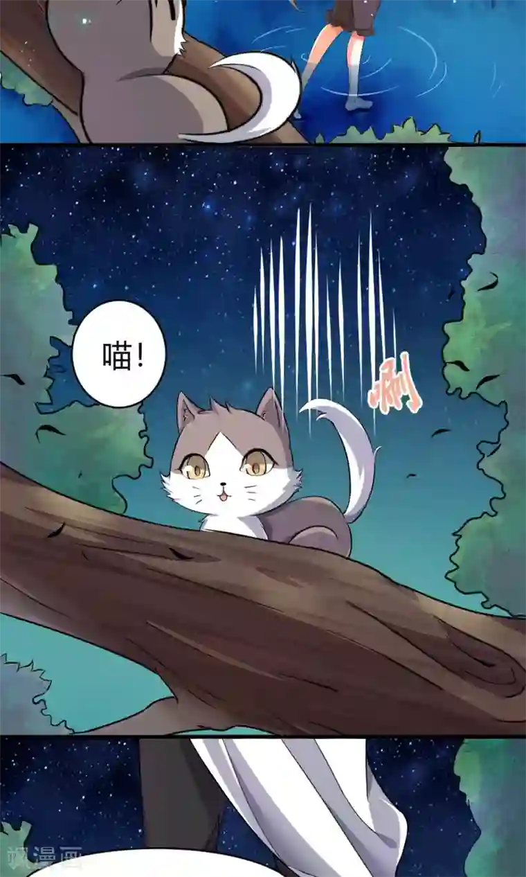 蓝颜祸水第3话 失踪的猫