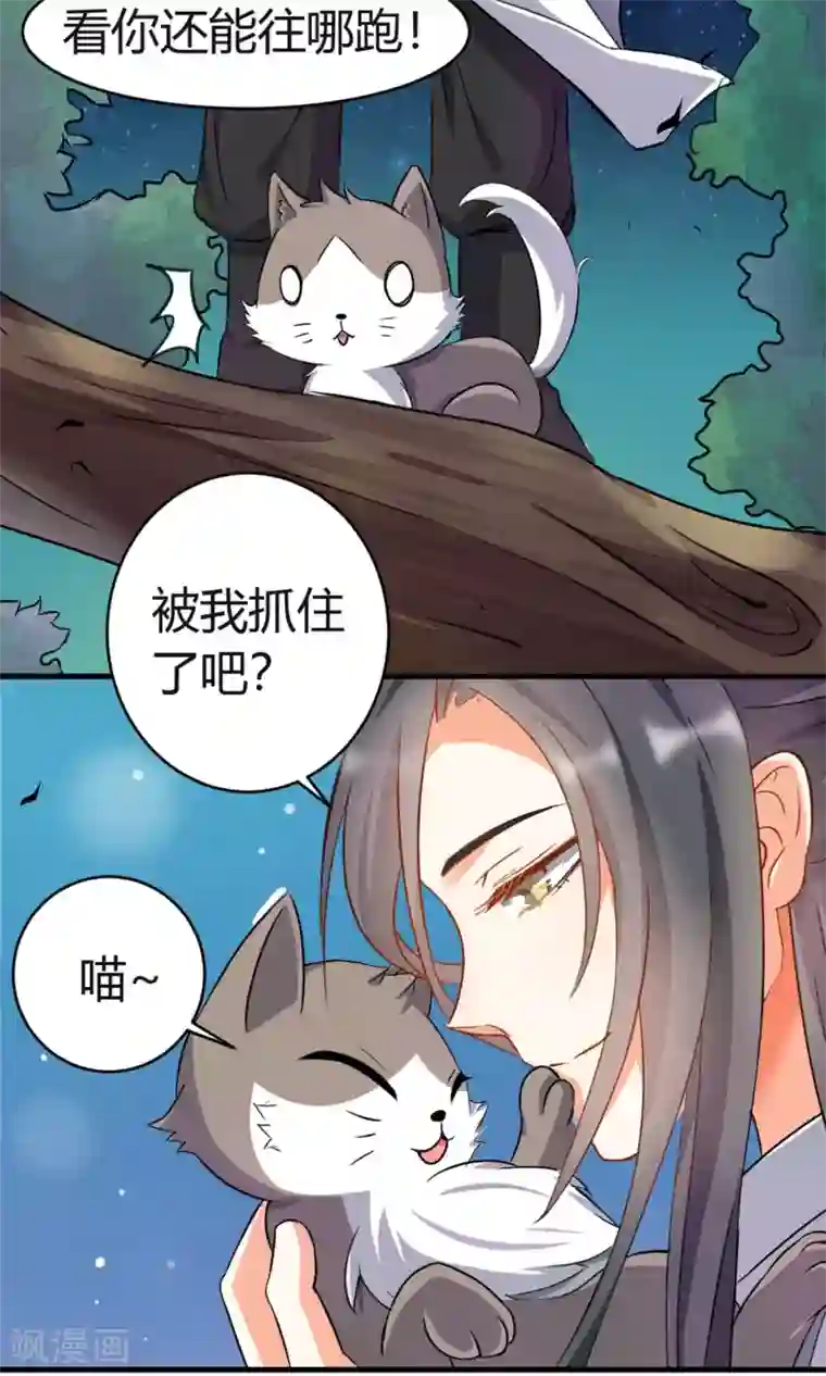 蓝颜祸水第3话 失踪的猫