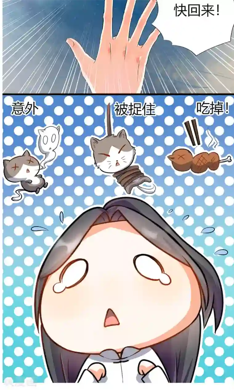 蓝颜祸水第3话 失踪的猫