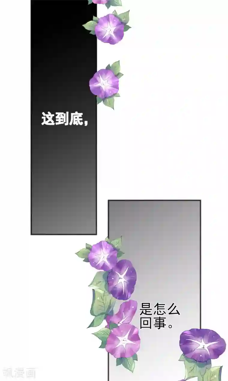 蓝颜祸水第20话 真了不起