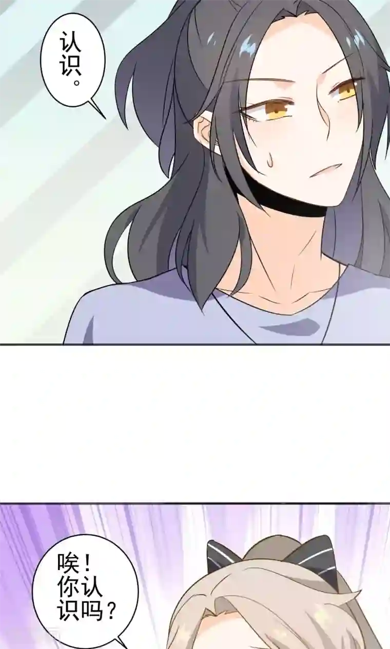 蓝颜祸水第27话 颜值即正义