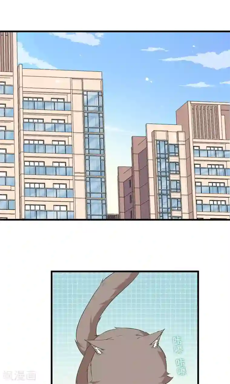 蓝颜祸水第53话 两朵桃花？！