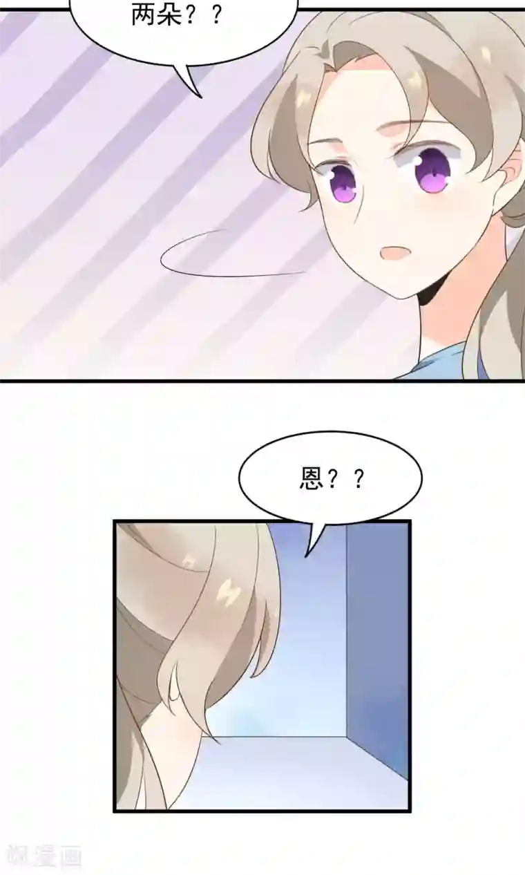 蓝颜祸水第53话 两朵桃花？！