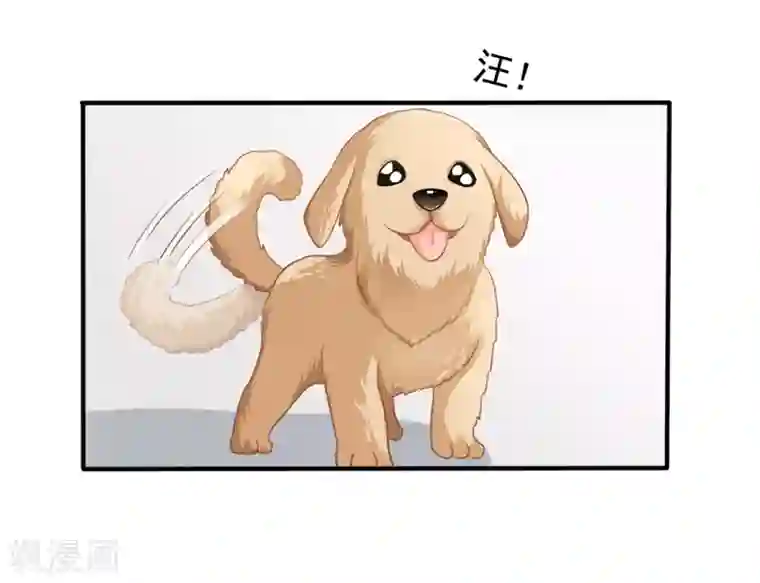 美味佳妻第14话 我爷爷可是元帅