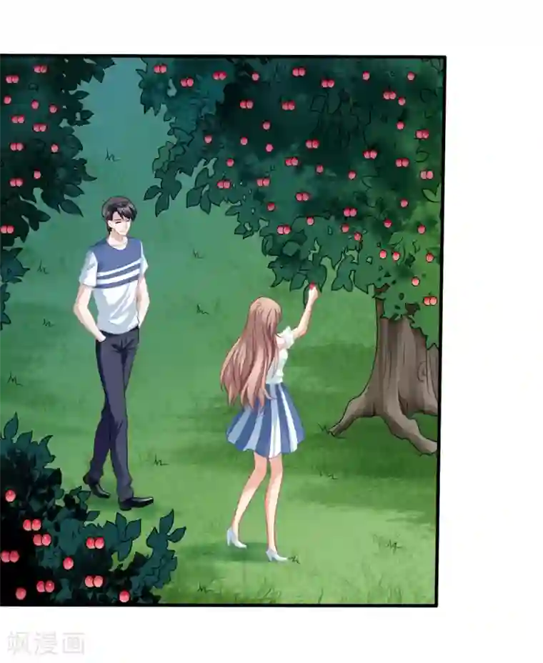 美味佳妻第58话 营地直播