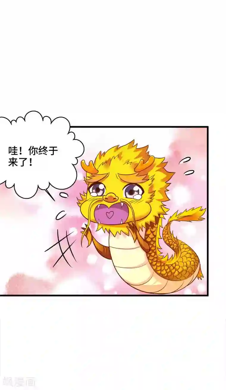 女王的驯龙指南第20话 你一个人我不放心