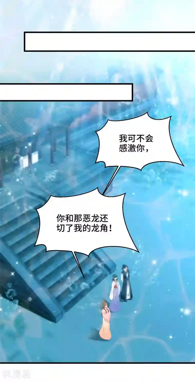 女王的驯龙指南第30话 交易