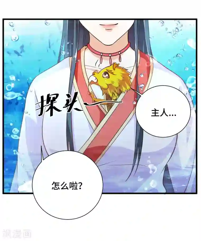 女王的驯龙指南第31话 我们重新认识一下