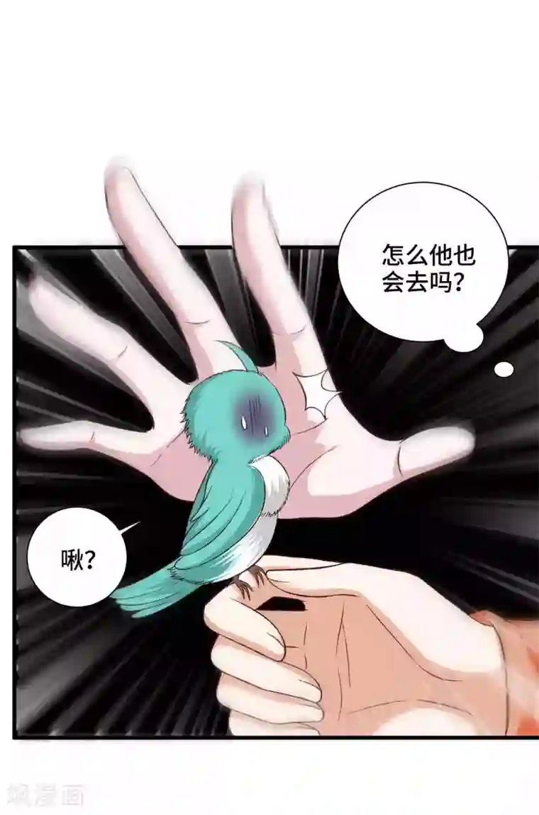 女王的驯龙指南第40话 打不死的啾