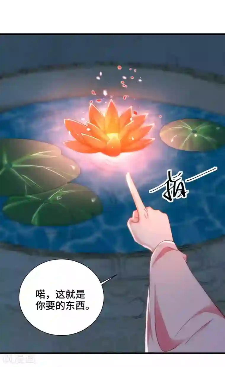 女王的驯龙指南第42话 碧血天莲