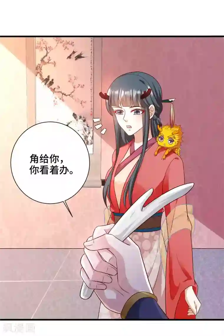 女王的驯龙指南第56话 主人才是天下最美的