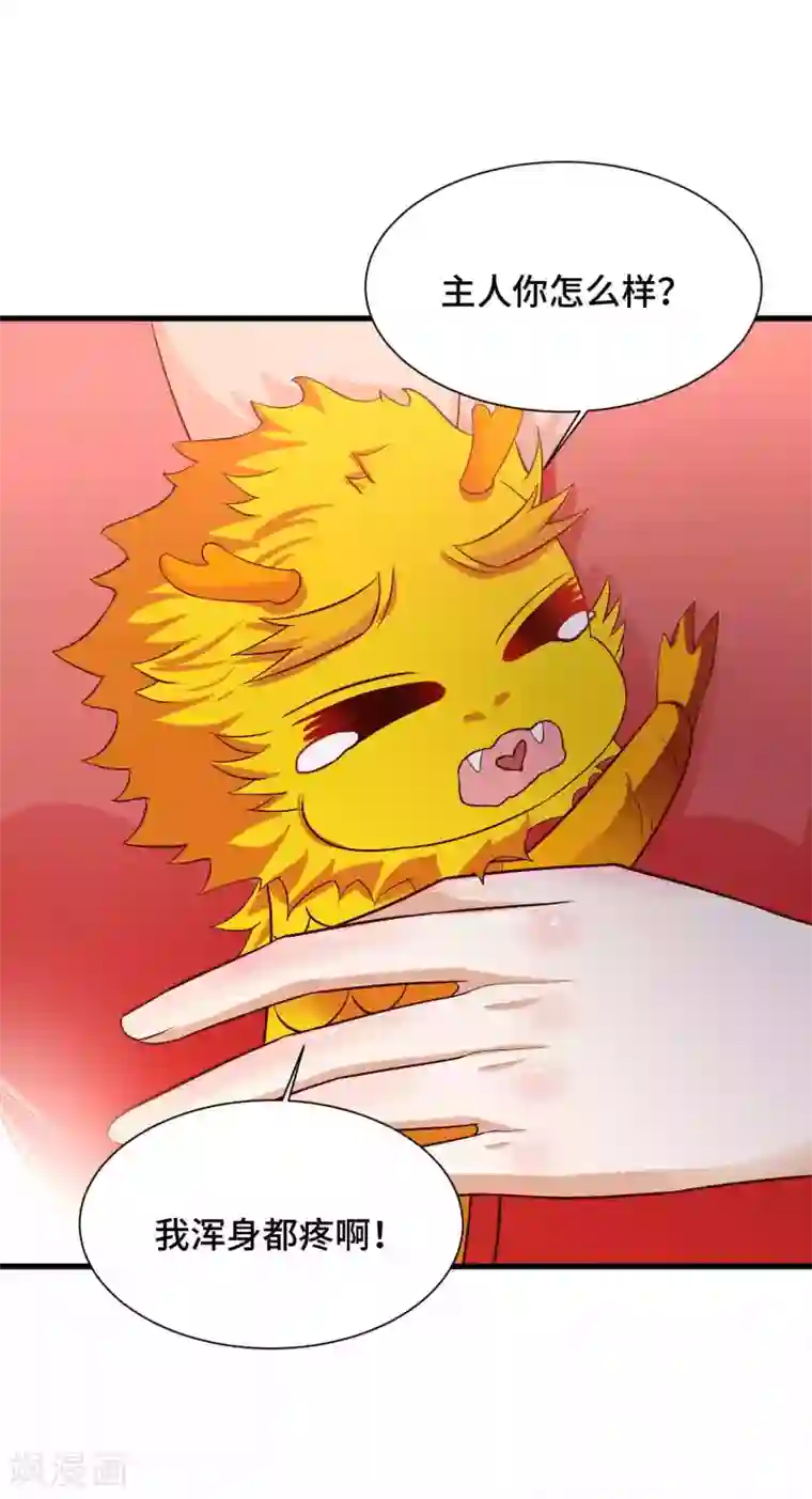 女王的驯龙指南第56话 主人才是天下最美的