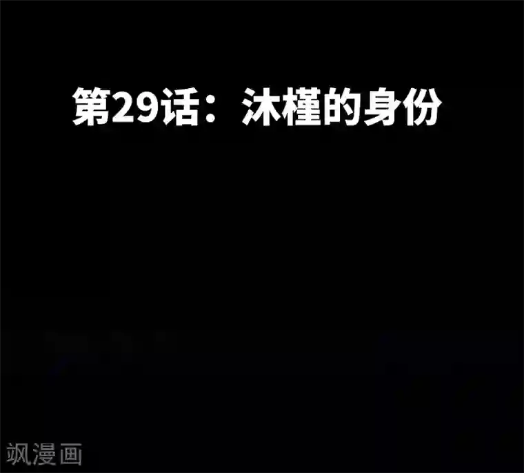 只对你臣服第29话 沐槿的身份