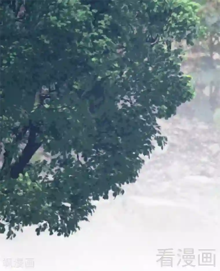 只对你臣服第57话 寻找容珣