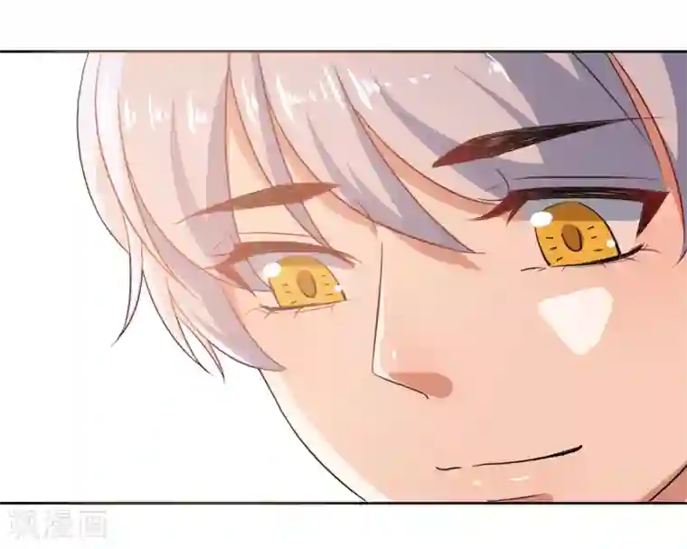 恶魔爱上小猫咪第64话 橘子姑娘，我记得你