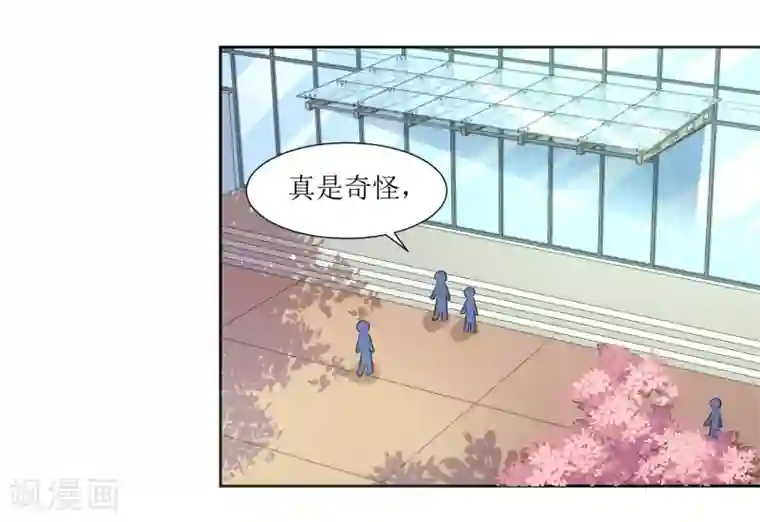 恶魔爱上小猫咪第64话 橘子姑娘，我记得你