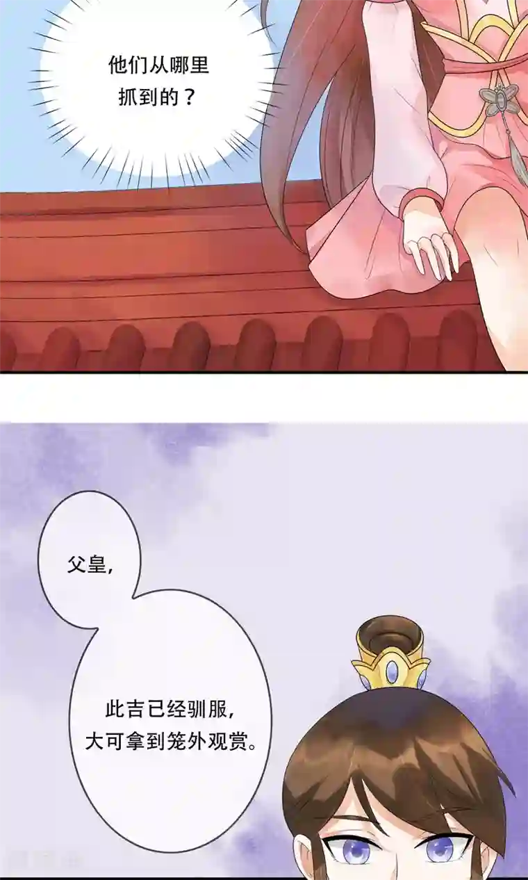 三生石之忘生缘第11话 诡异的奇珍异兽