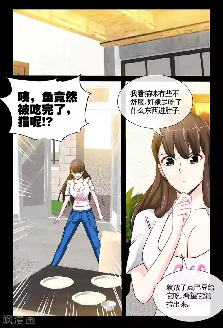 极品小神医第4话2 围捕大色狼