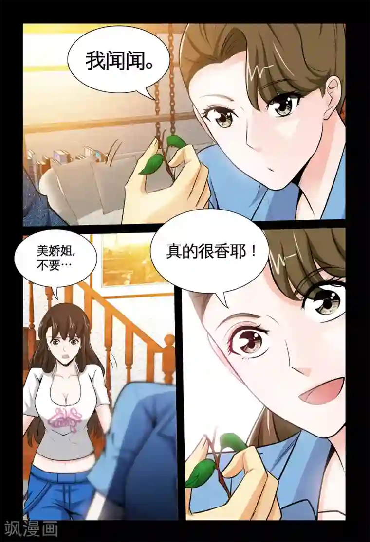 极品小神医第7话1 耀眼的姐妹