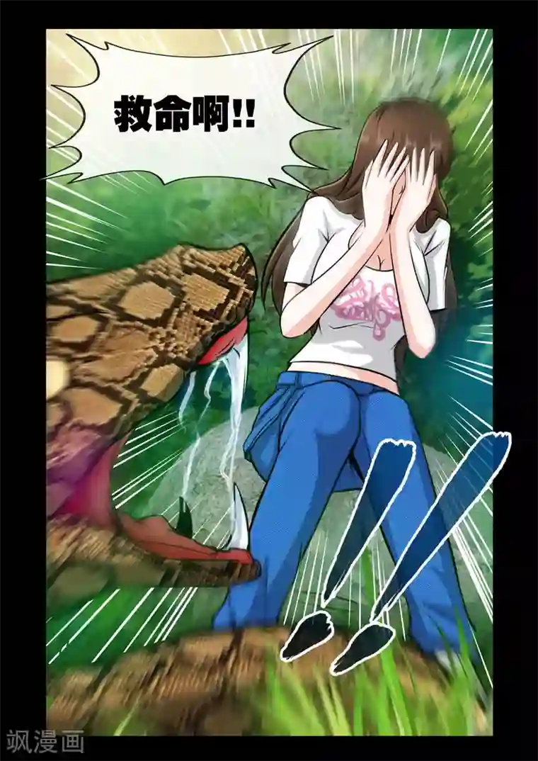 极品小神医第9话1 蝮蛇