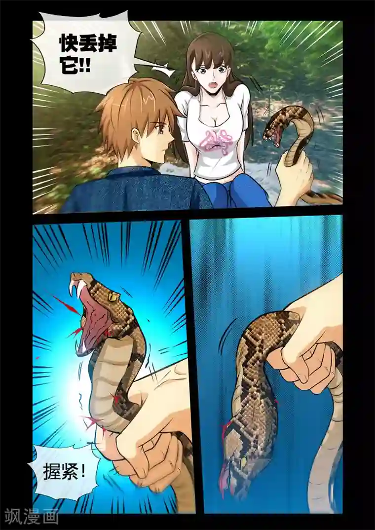 极品小神医第9话1 蝮蛇