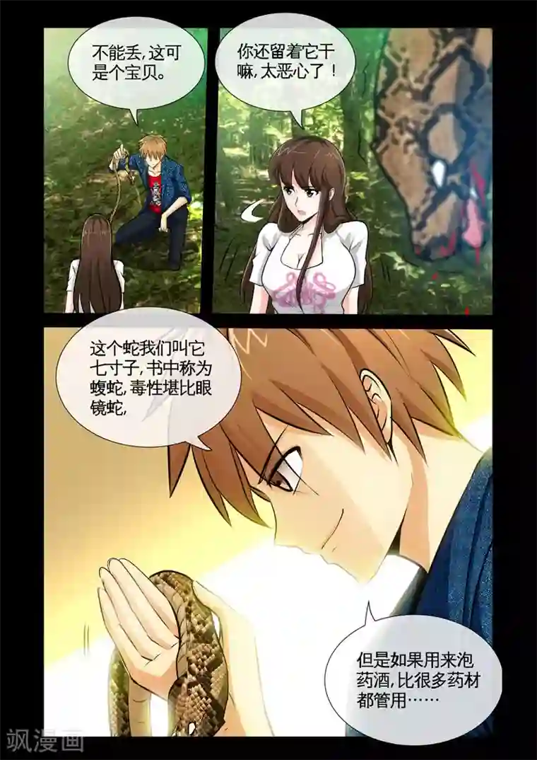 极品小神医第9话1 蝮蛇