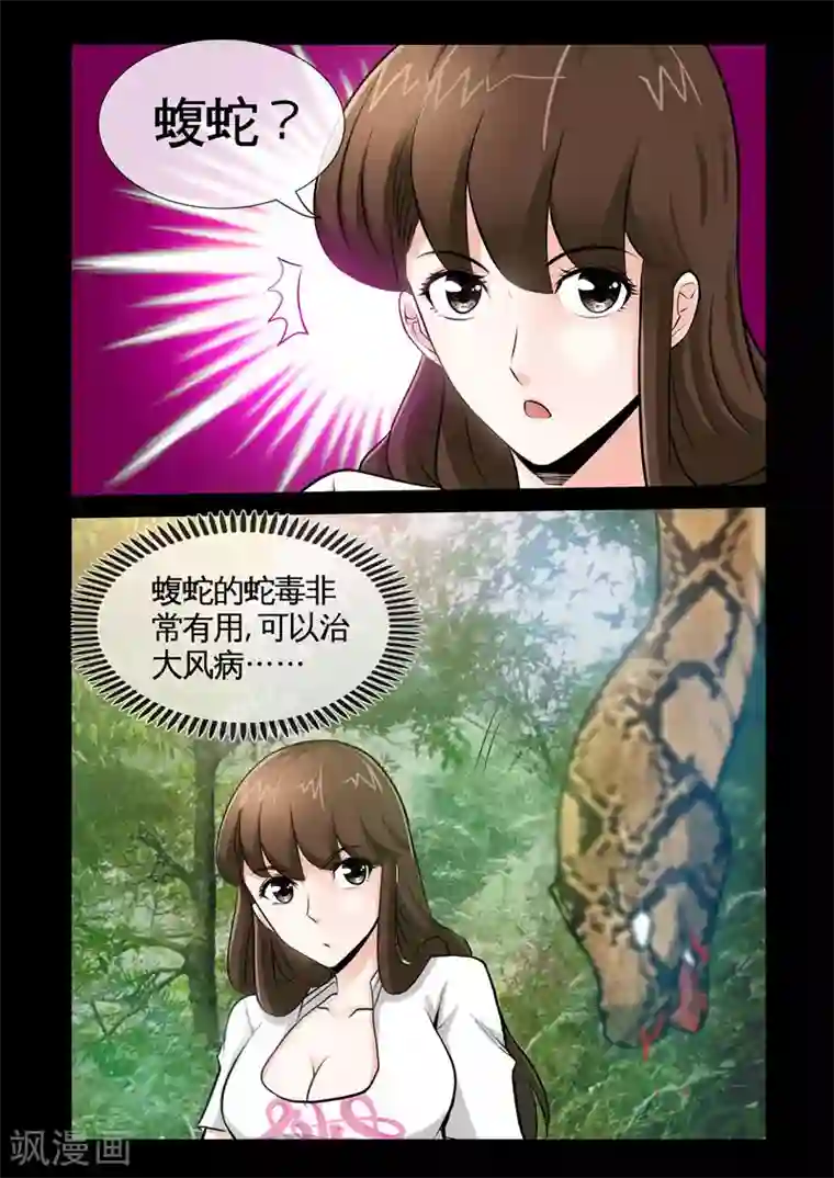 极品小神医第9话1 蝮蛇
