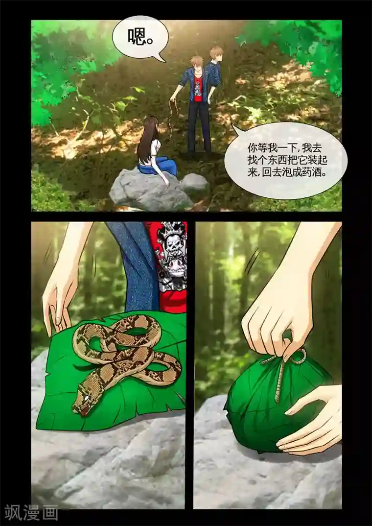 极品小神医第9话1 蝮蛇