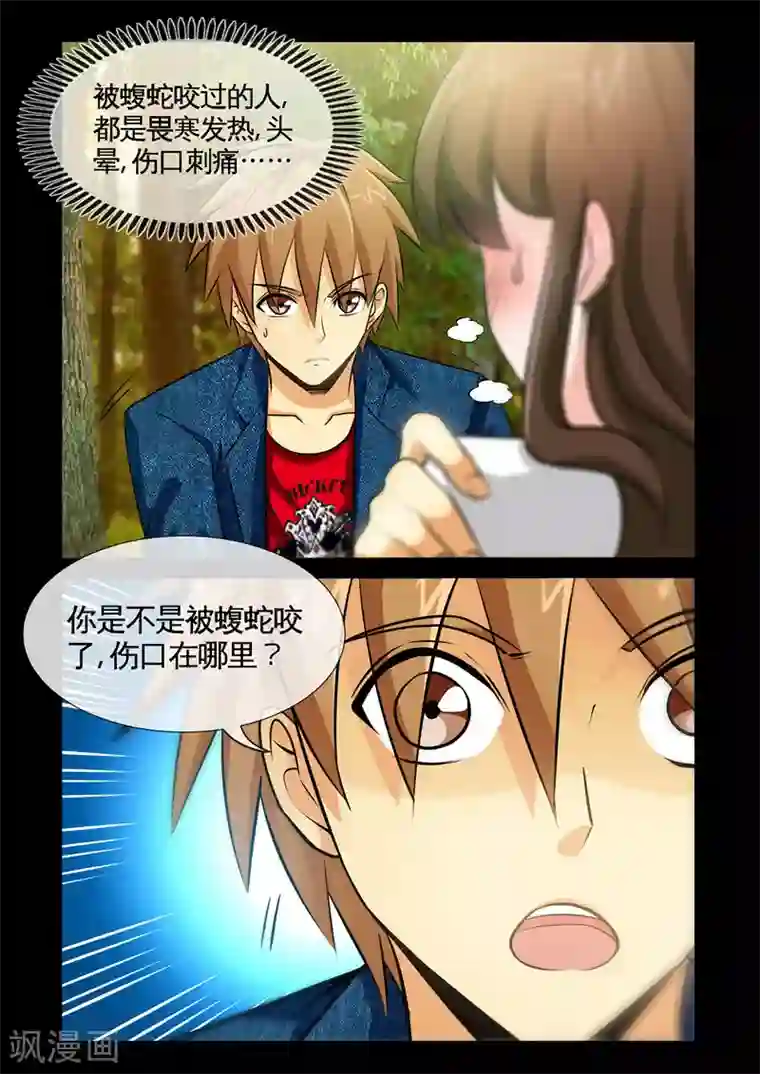 极品小神医第9话1 蝮蛇