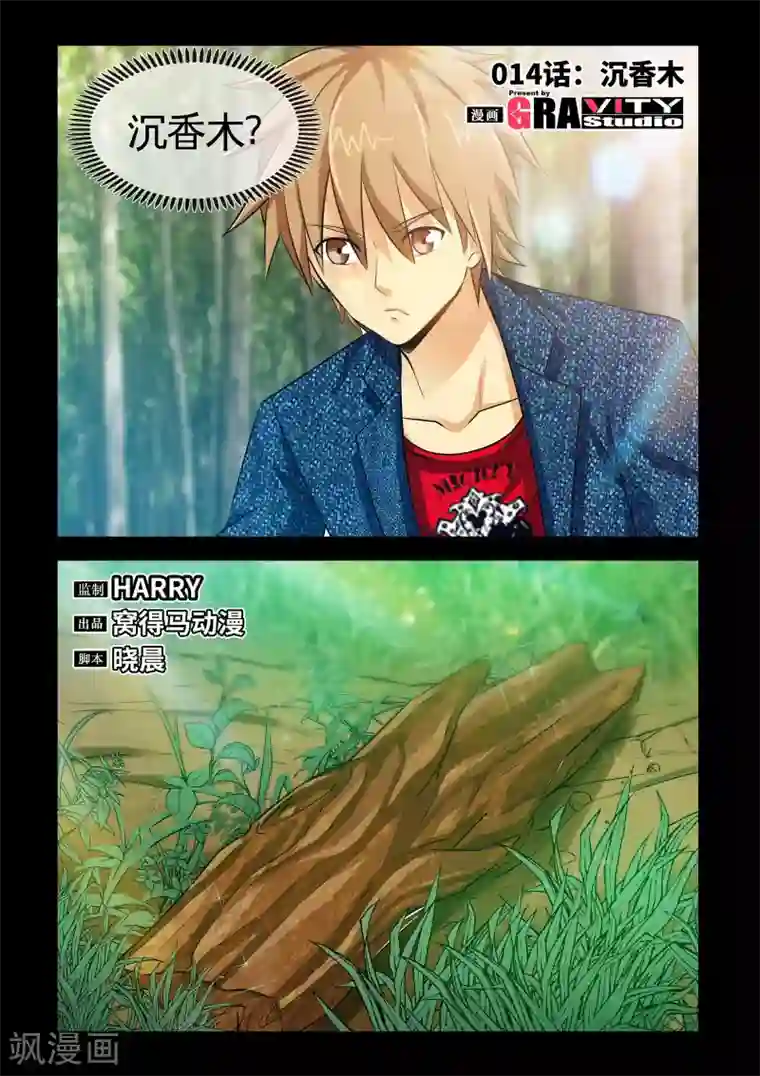 极品小神医第14话1 沉香木