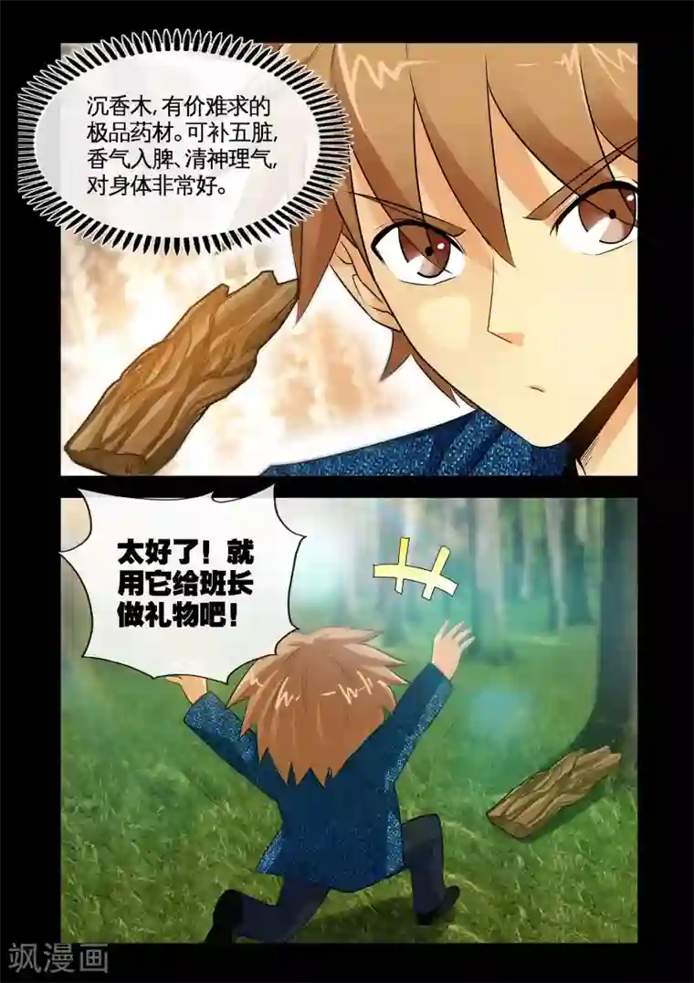 极品小神医第14话1 沉香木