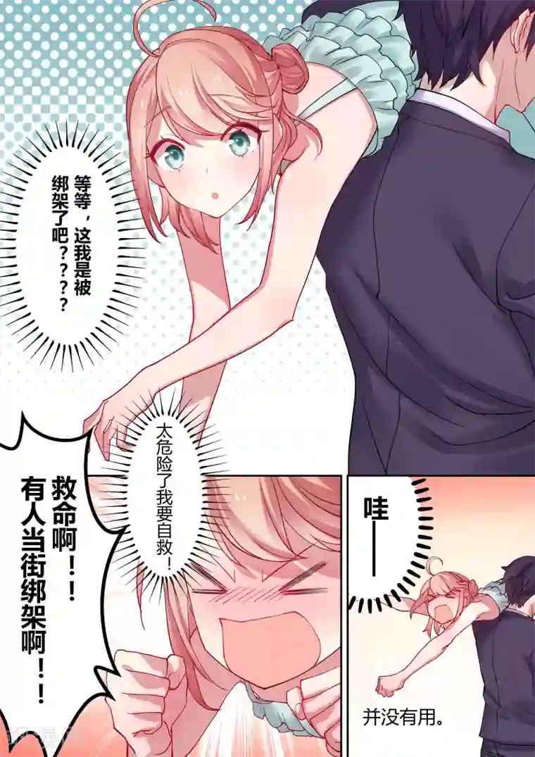 冷酷总裁的夏天第2话