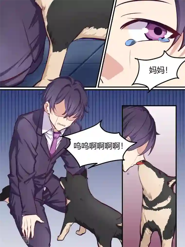 冷酷总裁的夏天第38话