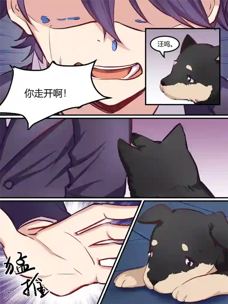 冷酷总裁的夏天第38话