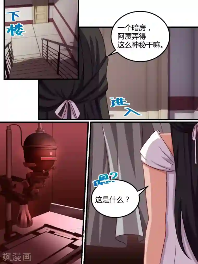 冷酷总裁的夏天第65话