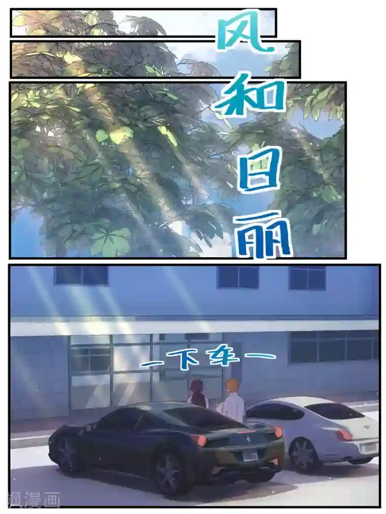 冷酷总裁的夏天第68话