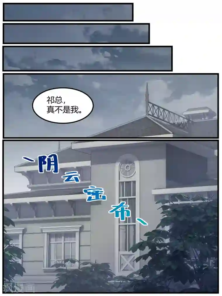 冷酷总裁的夏天第73话