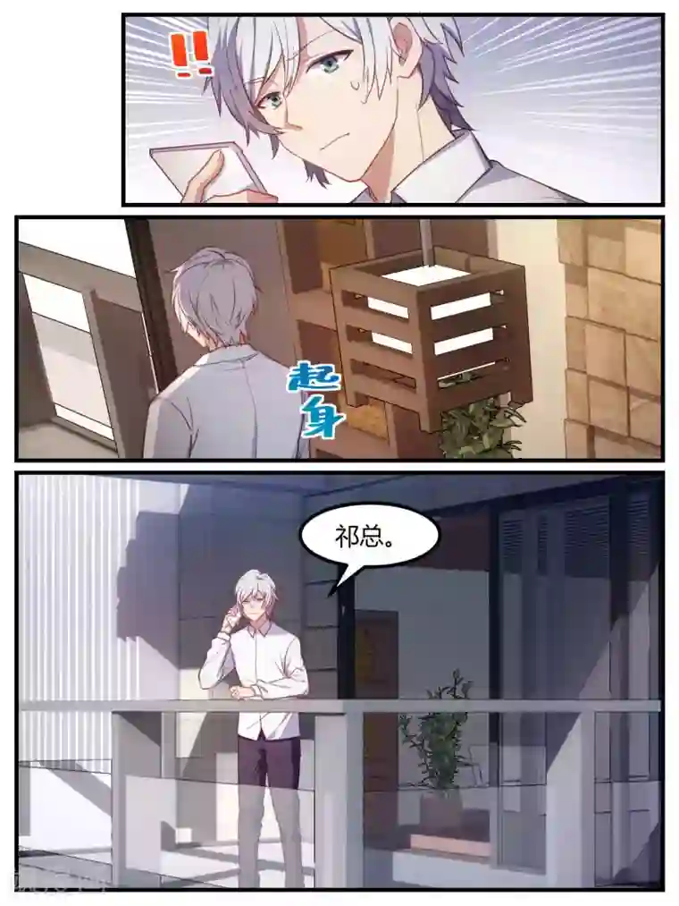 冷酷总裁的夏天第79话