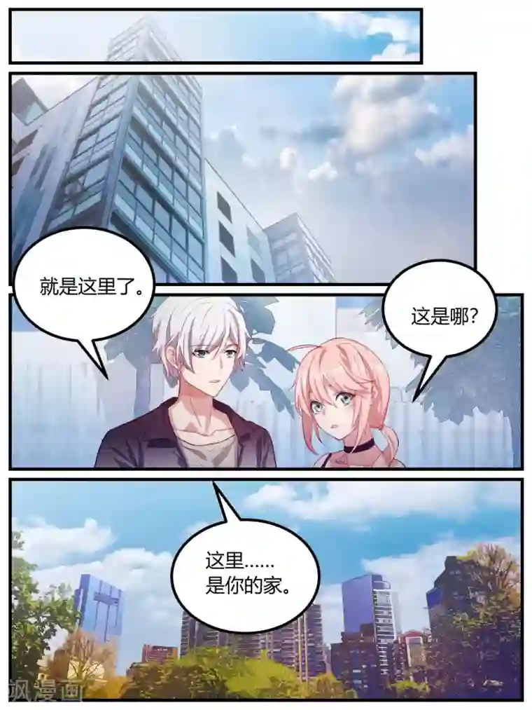 冷酷总裁的夏天第91话