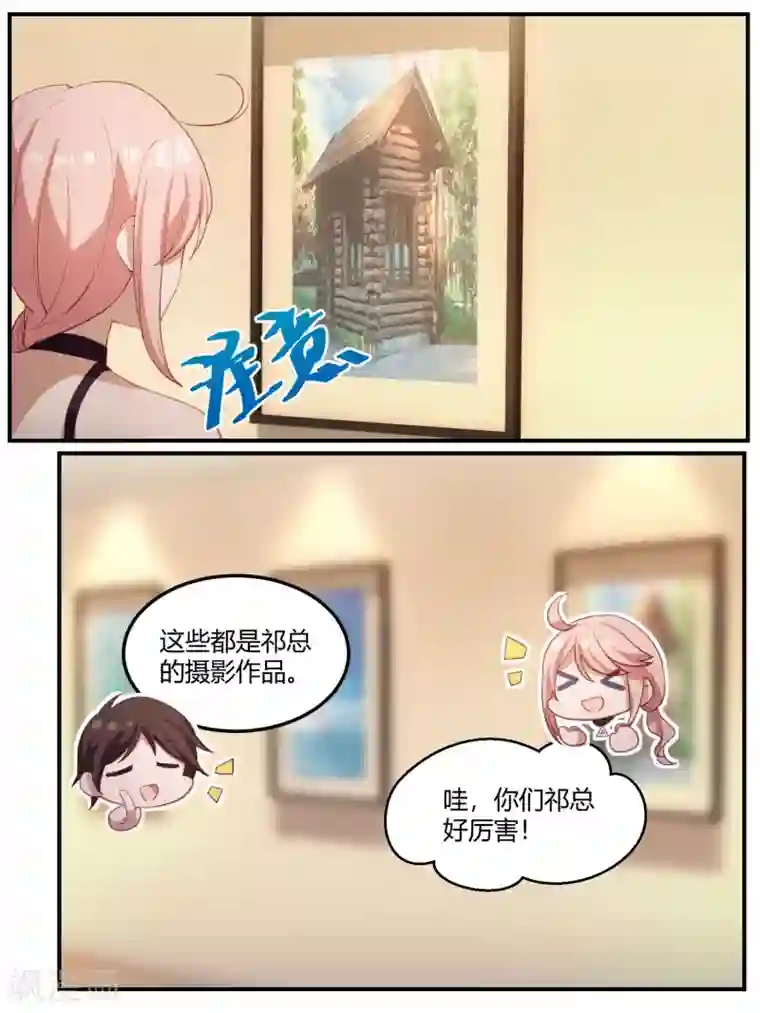 冷酷总裁的夏天第96话