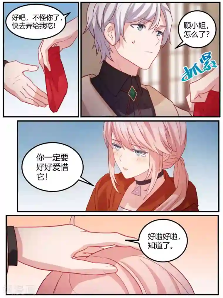 冷酷总裁的夏天第99话