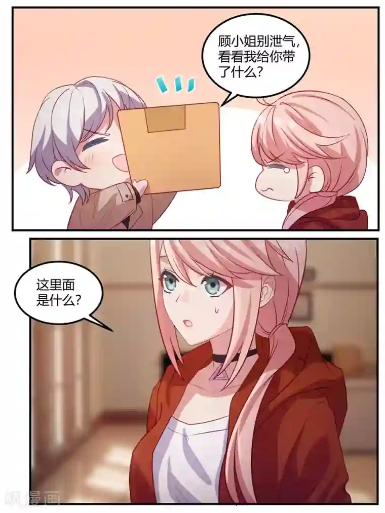 冷酷总裁的夏天第99话