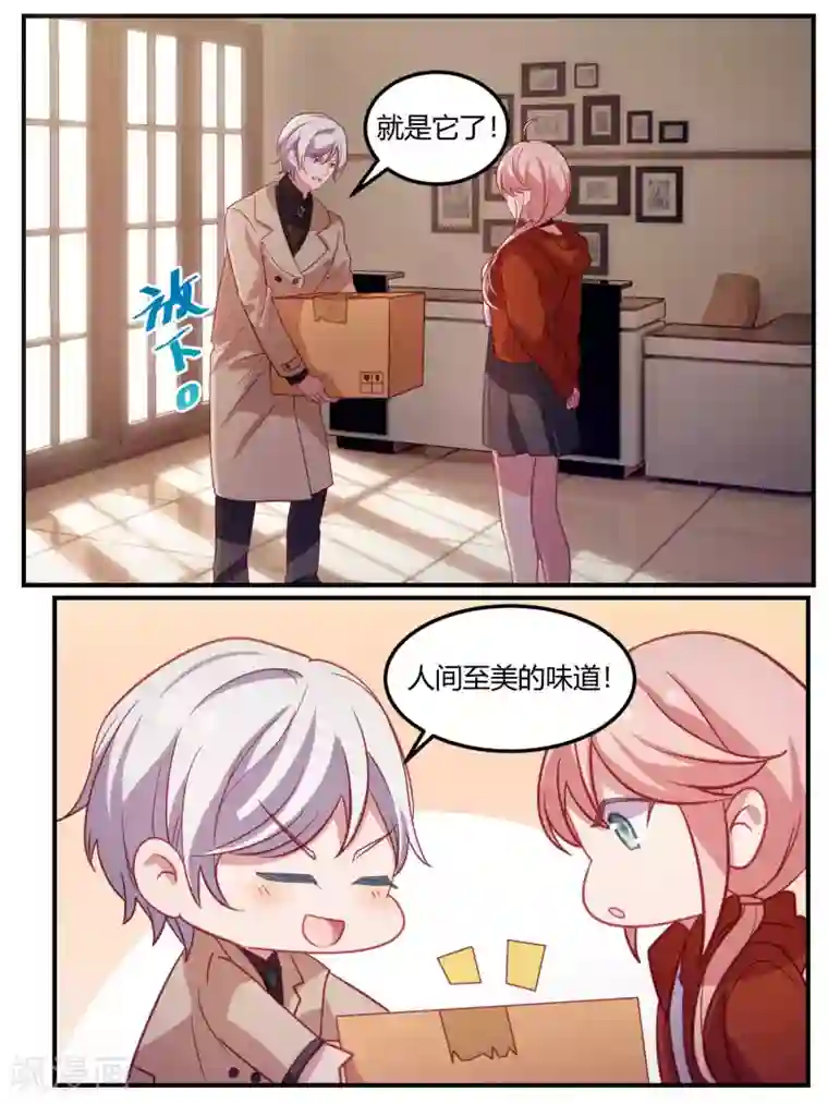 冷酷总裁的夏天第99话