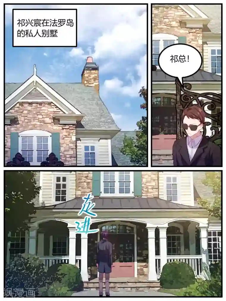 冷酷总裁的夏天第100话