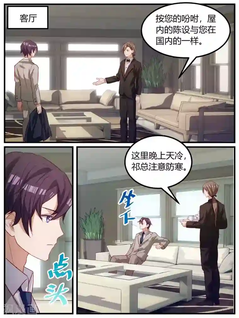 冷酷总裁的夏天第100话