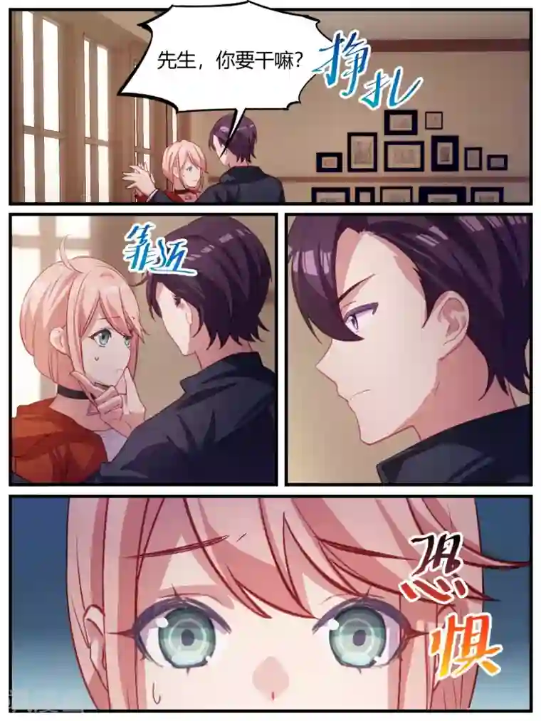 冷酷总裁的夏天第100话