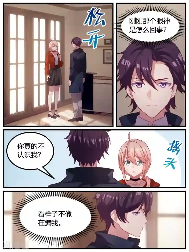 冷酷总裁的夏天第100话